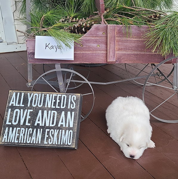 Female American Eskimo Kaya