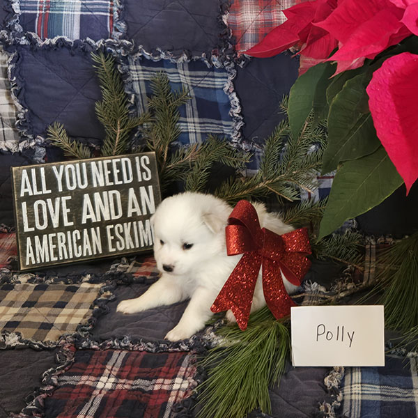 American Female Eskimo